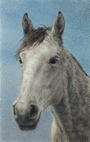 Galaxy - colored pencil on drawing paper, 6" x 9"