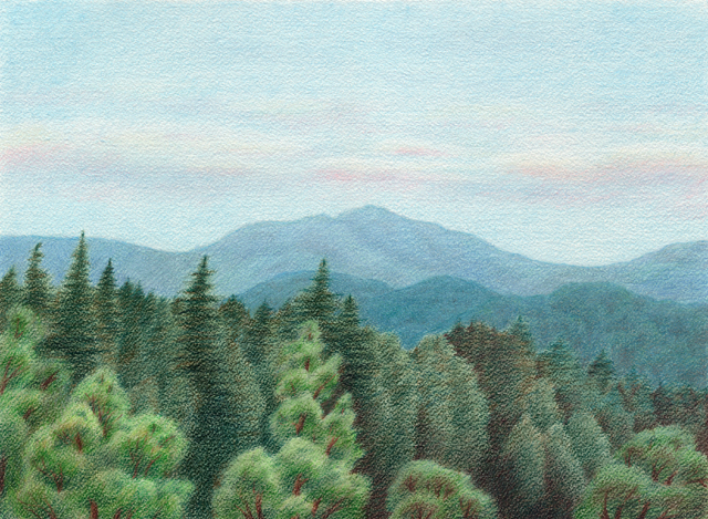 Summer Day in Santa Cruz Mountains - colored pencil on watercolor paper, 14.5