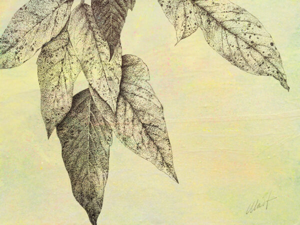 image of Stories of the Forest I, mixed media drawing on canvas board, 12" x 9", by Yelena Shabrova