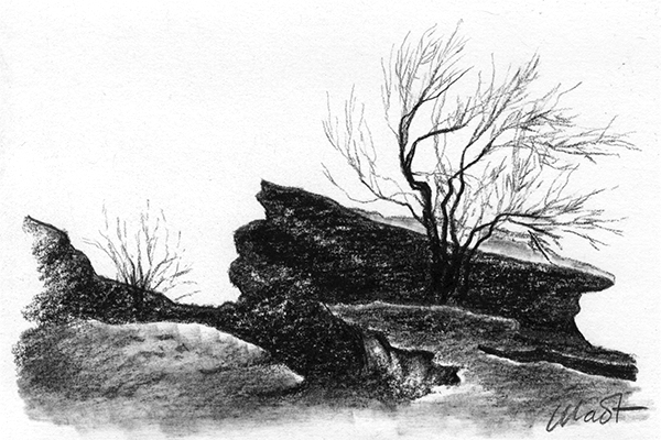 Yelena Shabrova ~ A sketch a day: rocks and trees ~ charcoal pencil, 6" x 4"