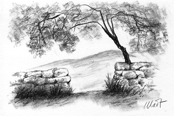 Yelena Shabrova ~ A sketch a day: old stone fence ~ charcoal pencil on drawing paper, 6″ x 4″