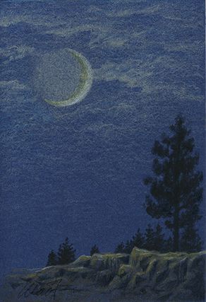 Yelena Shabrova ~ A sketch a day: moonlight, colored pencil ~ pastel pencil, China marker, 4″ x 6″