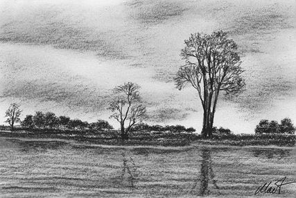 Yelena Shabrova ~ A sketch a day: reflections of trees ~ charcoal on drawing paper, 6″ x 4″
