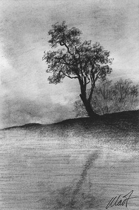 Yelena Shabrova ~ A sketch a day: steaming pond, charcoal ~ 4” x 6”