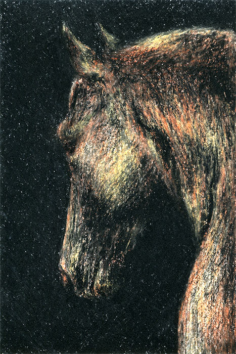 Yelena Shabrova ~ A sketch a day: horse in the dark ~ China marker and colored pencils, 4" x 6"