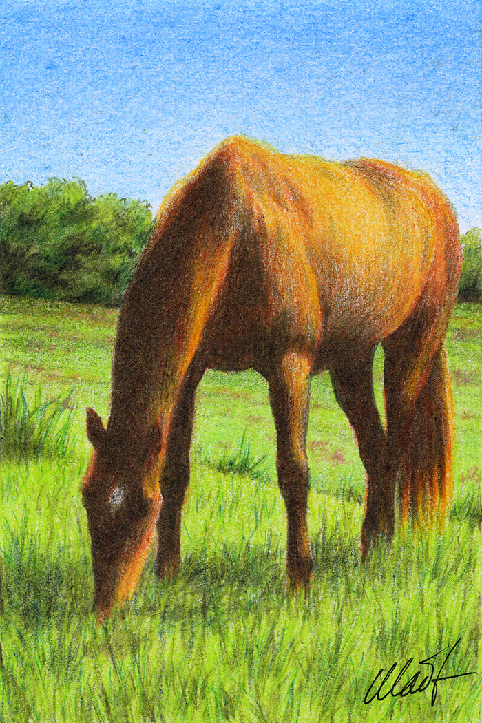 Yelena Shabrova ~ A sketch a day: grazing horse ~ pastel pencil, 4" x 6"