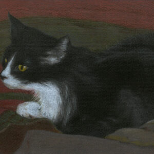 Dikanka - colored pencil on colored paper, 9" x 6"