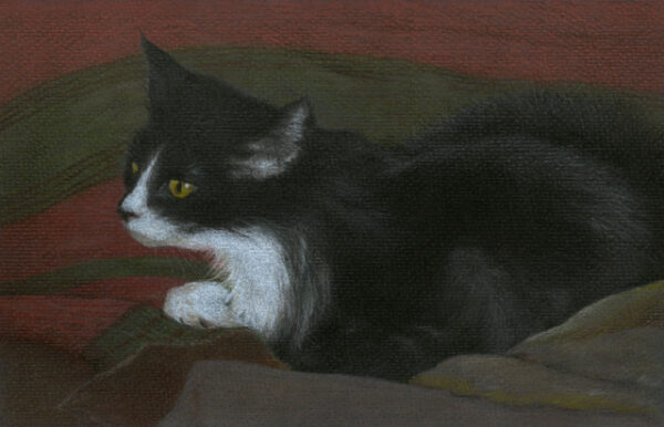 Dikanka - colored pencil on colored paper, 9" x 6"