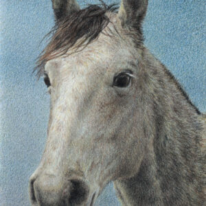 Galaxy - colored pencil on drawing paper, 6" x 9"