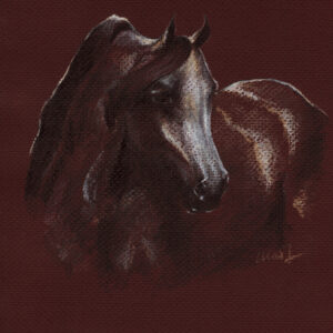 Yelena Shabrova ~ Arabian Mare - pastel pencil on colored paper, 8.5" x 11"
