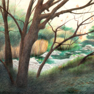 Alum Rock Park - colored pencil on drawing paper, 11" x 8.5"