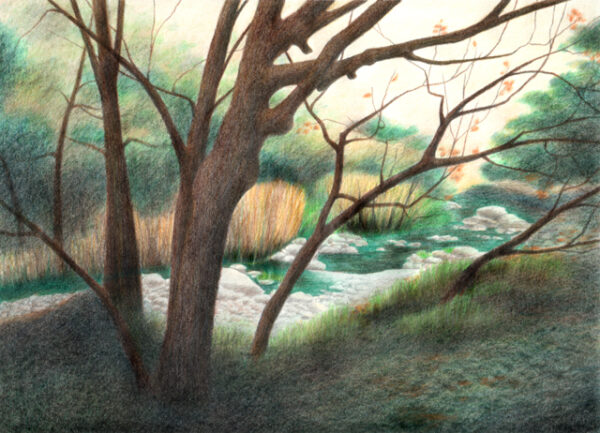 Alum Rock Park - colored pencil on drawing paper, 11" x 8.5"