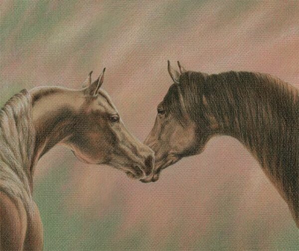 Bonding - colored pencil on colored paper, 12" x 10"