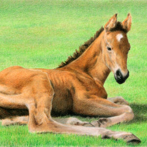 Daydreaming ~ colored pencil on drawing paper, 8.5" x 5.5"