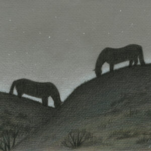 June - colored pencil on colored paper, 11" x 8.5"