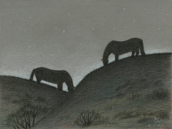 June - colored pencil on colored paper, 11" x 8.5"