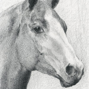 Watching - China pencil on watercolor paper, 9.25" x 12.5"