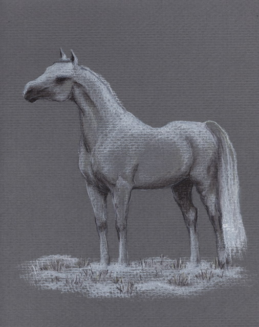 Winter Portrait - pastel pencil on colored paper, 8" x 10"