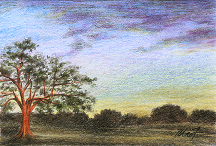 Changing Colors - pastel pencil on drawing paper, 4 x 6