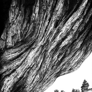 Memories of Utah - pen and ink on Bristol paper, 9" x 12"