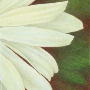 Outburst - colored pencil on drawing paper, 6" x 9"