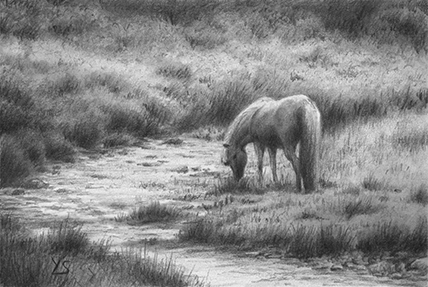 Sleepy Creek - graphite pencil on drawing paper, 4" x 6"