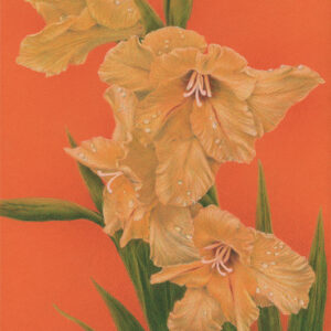Sun Kissed - colored pencil on colored paper, 8" x 10"