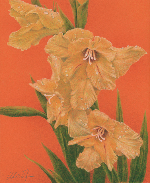 Sun Kissed - colored pencil on colored paper, 8" x 10"