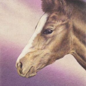 realistic colored pencil drawing of a very young foal, a head in profile against a gradient background