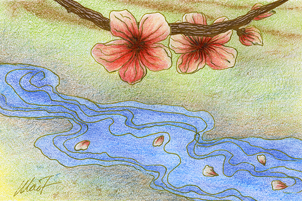 Yelena Shabrova ~ A sketch a day: petals in a stream ~ colored pencils on Canson drawing paper, 4" x 6"