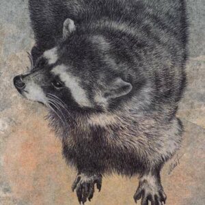 Black and white raccoon looking to the left on a richly textured background