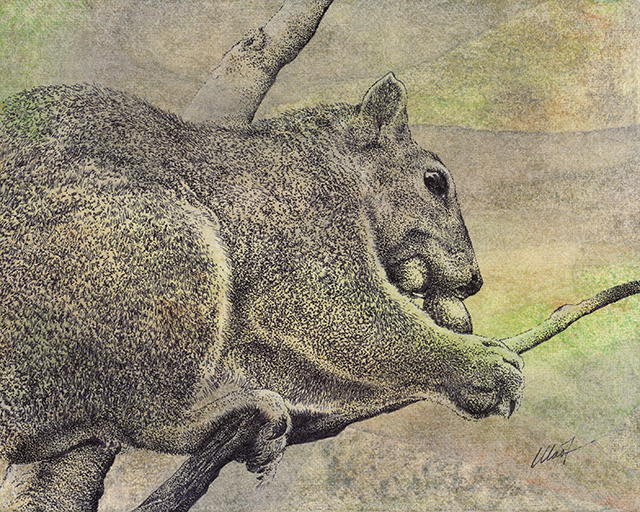 Yelena Shabrova ~ Muncher ~ mixed media on canvas panel, 8" x 10" (original drawing of a squirrel)