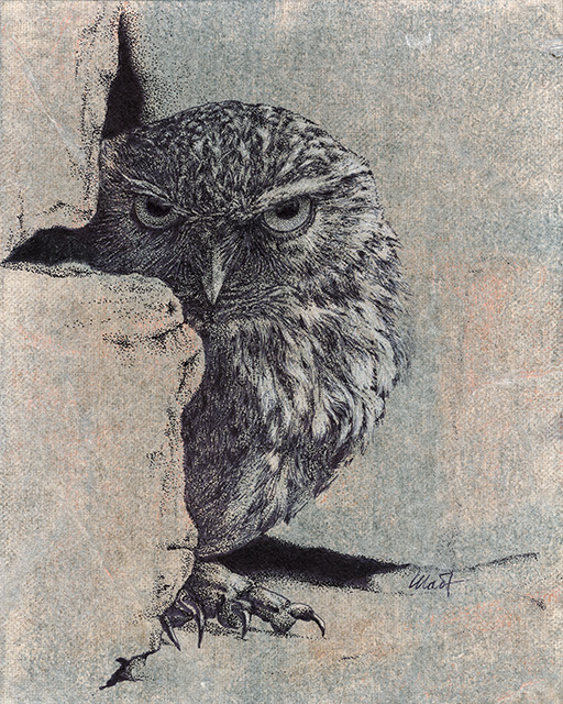 Yelena Shabrova ~ Stranger ~ mixed media on canvas panel, 8" x 10" (original drawing of an owl)
