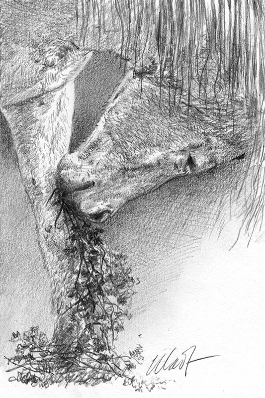 Yelena Shabrova ~ A sketch a day: conflicting needs of those with no hands ~ graphite pencil, 4" x 6"