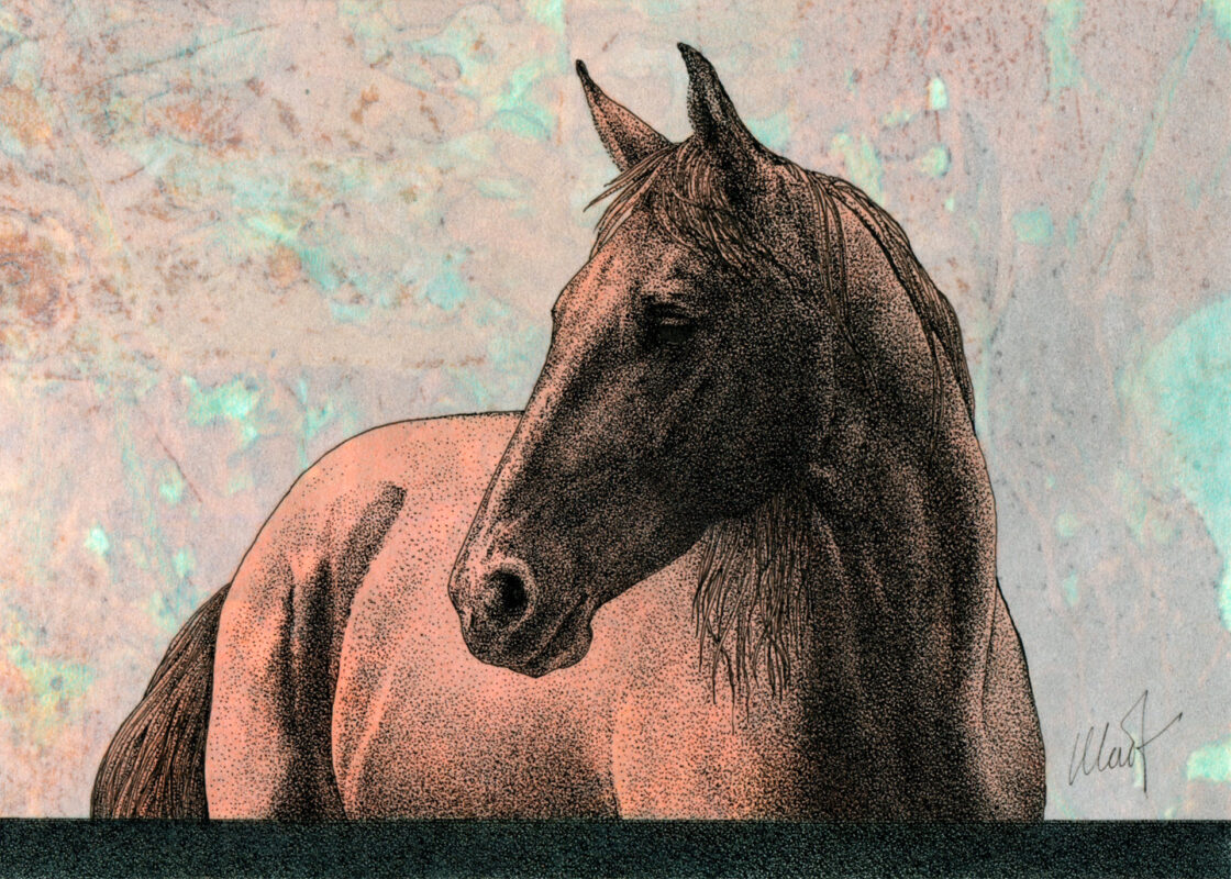 stylized illustration of a horse in a stippling technique against a muted rust and aqua background; the horse is shown from the side, with its head turned to the left over its shoulder  