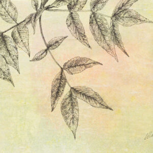 image of Stories of the Forest II, mixed media drawing on canvas board, 12" x 9", by Yelena Shabrova
