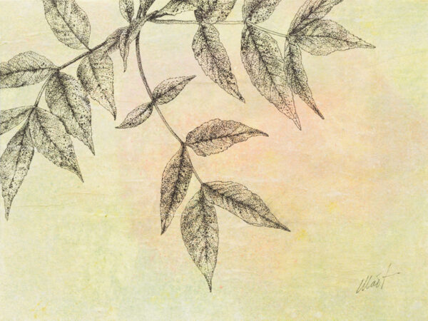 image of Stories of the Forest II, mixed media drawing on canvas board, 12" x 9", by Yelena Shabrova