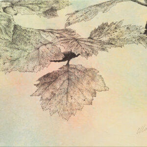 image of Stories of the Forest III, mixed media drawing on canvas board, 12" x 9", by Yelena Shabrova