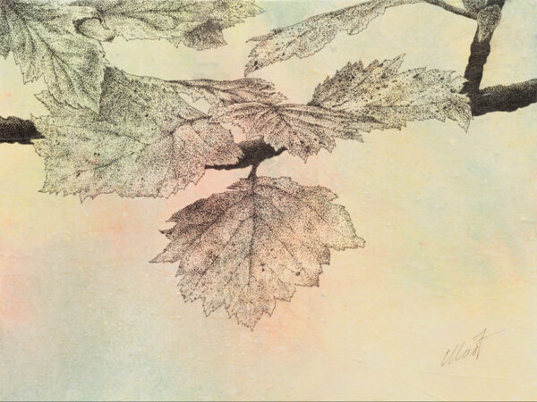 image of Stories of the Forest III, mixed media drawing on canvas board, 12" x 9", by Yelena Shabrova