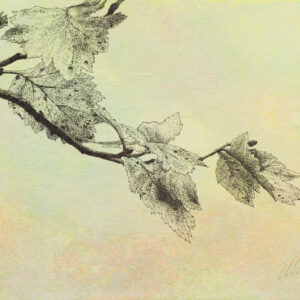 image of Stories of the Forest IV, mixed media drawing on canvas board, 12" x 9", by Yelena Shabrova