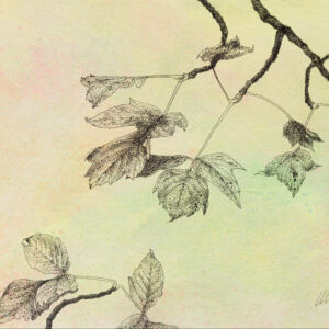 image of Stories of the Forest V, mixed media drawing on canvas board, 12" x 9", by Yelena Shabrova