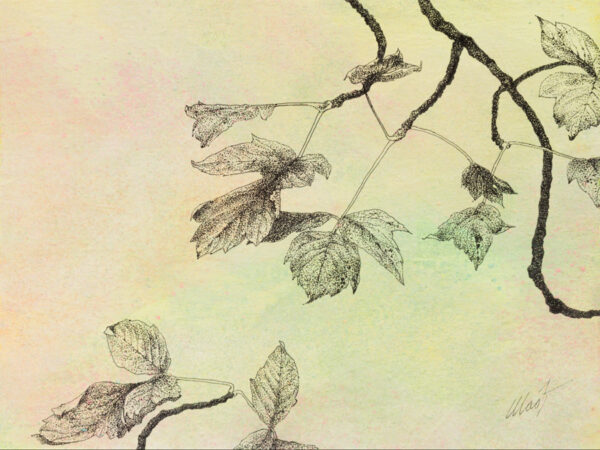 image of Stories of the Forest V, mixed media drawing on canvas board, 12" x 9", by Yelena Shabrova