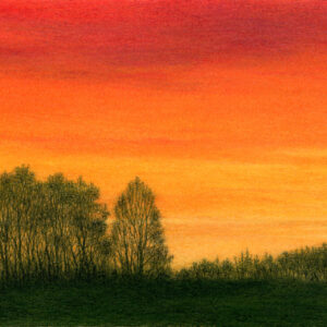 Colorful red and orange sunset skies over silhouettes of trees and shrubs.