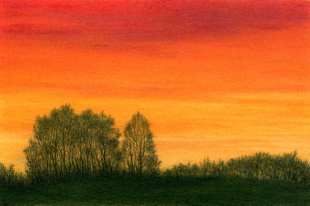 Red and orange sunset skies over silhouettes of trees and shrubs