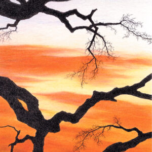Colored pencil drawing of bare branches against colorful sunset clouds