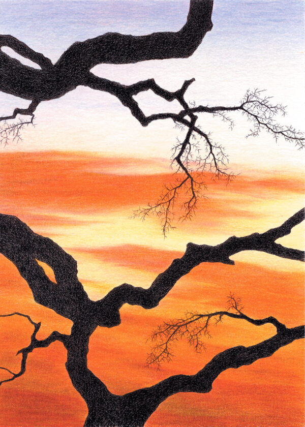Colored pencil drawing of bare branches against colorful sunset clouds