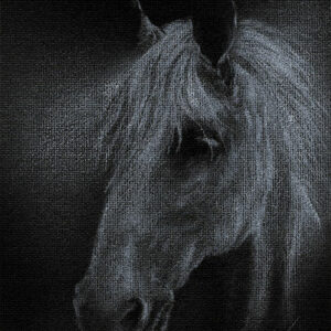 Yelena Shabrova ~ Ghostly White ~ white colored pencil on canvas board, 5" x 7"