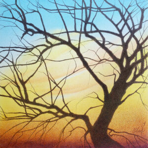 Colored pencil of a bent bare tree with colorful sunset clouds