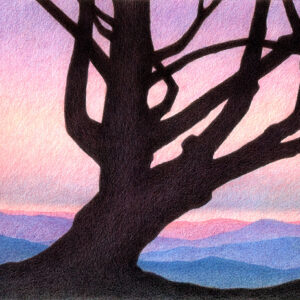 Colored pencil drawing of an old pine tree against the backdrop of pink and purple sunset skies and distant mountain ranges