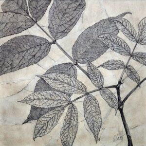 cropped blackberry leaves in black ink over a torn tissue paper collage in earthy colors